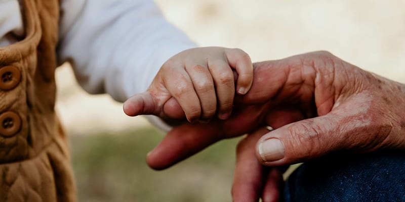 A Grandparents Guidance and Care